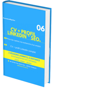 formation profil LinkedIn seo et cv