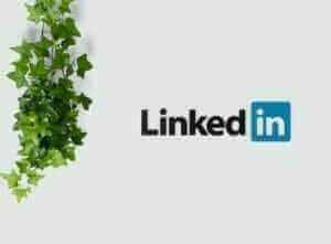 linkedin france 